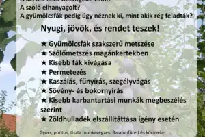 Szőnyeg Sándor E.V.    https://rendterem.hu