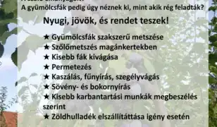Kertfenntartás Balatonfüred és környékén