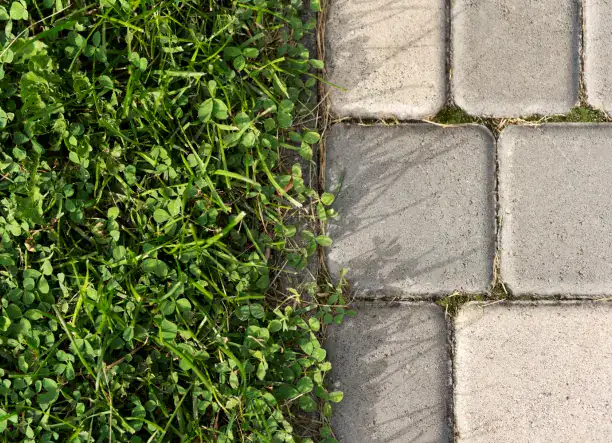 Térkövezés magánszemélyeknek – gyors és megbízható kivitelezés