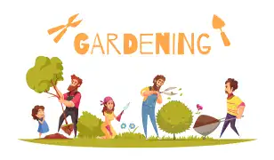 Kertépítés és kertgondozás – teljes körű szolgáltatás egy kézből! 🌿