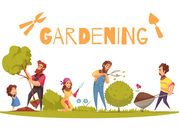 Kertépítés és kertgondozás – teljes körű szolgáltatás egy kézből! 🌿