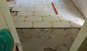 Festés, mázolás, gipszkartonozás