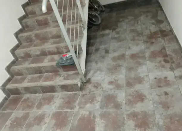 Festés, mázolás, gipszkartonozás