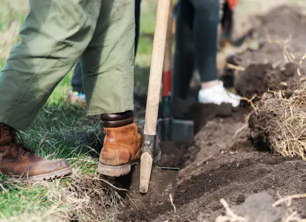 Lomtalanítás és tereprendezés Békés megyében – Megbízható csapat, korrekt hozzáállás!