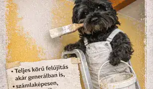 Szobafestés, mázolás – több mint 30 év szakmai tapasztalattal! 🎨