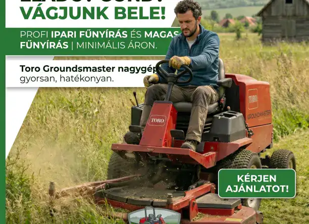 Gépi fűnyírás