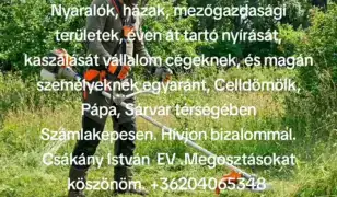 Zöldterület karbantartás