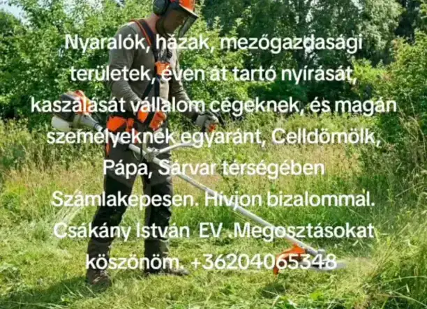 Zöldterület karbantartás