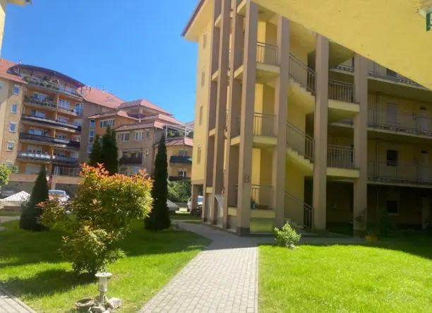 Kineziológia Dunakeszin 90 percben