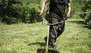Fűnyírás, fűkaszálás