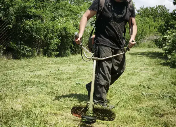 Fűnyírás, fűkaszálás