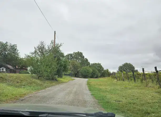 Szőlőterület telek
