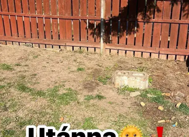 Lomtalanítás, bontás, lakáskiürítés