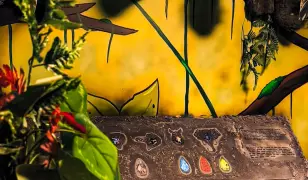 Magic Rooms - Jumanji szabadulószoba! Létszám: 2-8 fő