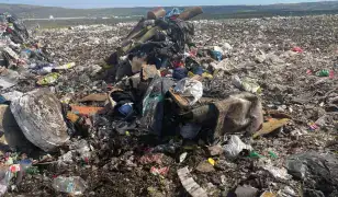 LOMTALANÍTÁS INGATLAN KÍÜRÍTÉSE ORSZÁGOSAN