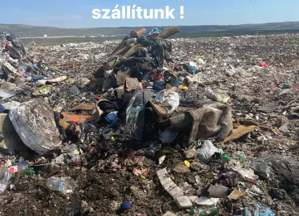 LOMTALANÍTÁS INGATLAN KÍÜRÍTÉSE ORSZÁGOSAN