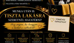 Takarítást vállalok