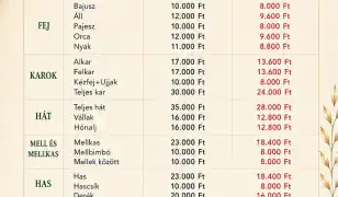 Dióda lézeres szőrtelenítés -20%-os kedvezménnyel és Prémium csomagok extrázva