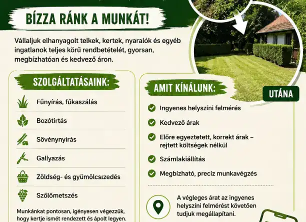 Lomtalanítás és tereprendezés Békés megyében – Megbízható csapat, korrekt hozzáállás!