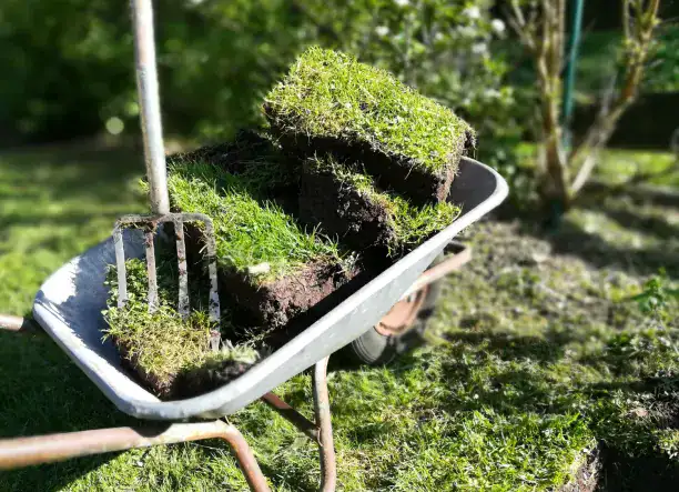 Kertépítés • földmunka • kertfenntartás 🌿