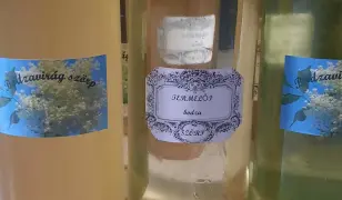 Bodza szörp