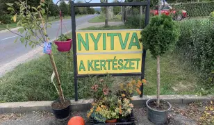 Azúrforrás Kiskertészet