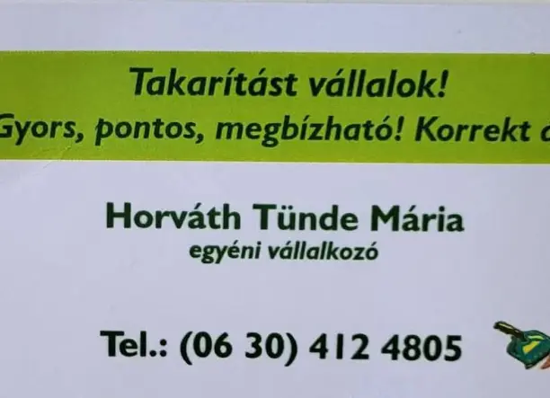 Egyéni takarító vállalkozás