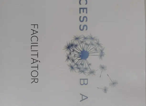 Access Bars