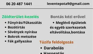 Munkavállalás!