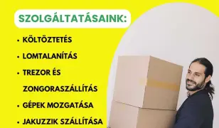 Költöztetés