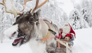 Advent Lappföldön és látogatás a Mikulásnál, repülővel, reggelivel, idegenvezetéssel