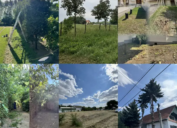 Zöldterület-karbantartás országosan