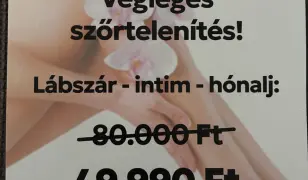 Végleges szőrtelenítés ! Mindösszesen 3000 Ft hónalj terület új Vendégeim részére !
