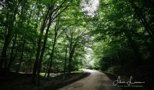 Erdei esküvői helyszín a Börzsönyben