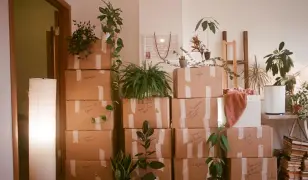 Szállítás költözés