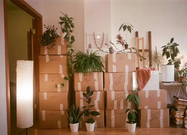 Szállítás költözés