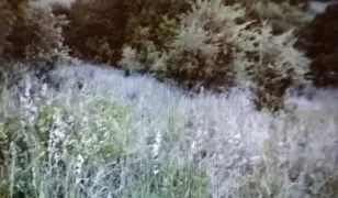 Eladó telek Ecséd falu felső végén, út mentén.