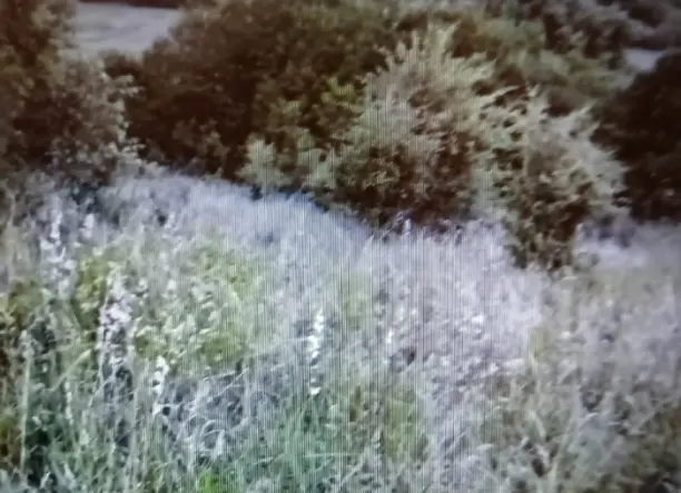 Eladó telek Ecséd falu felső végén, út mentén.