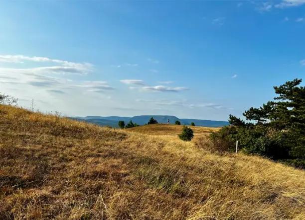 A Gróf halála - World of Adventures