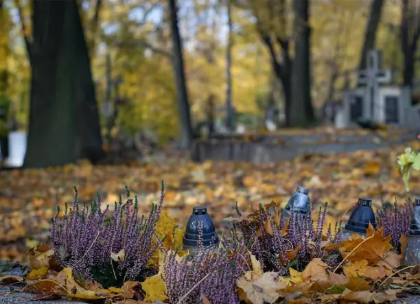 A dörgicsei zombik - World of Adventures