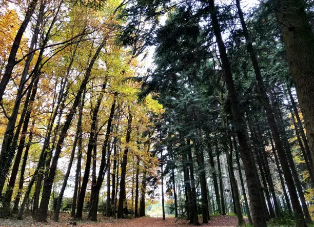 Ravasz szörnyek tava - World of Adventures