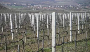 Szőlőoszlop, betonoszlop, drótfonat, drótháló, vadháló kerítés a gyártótól!