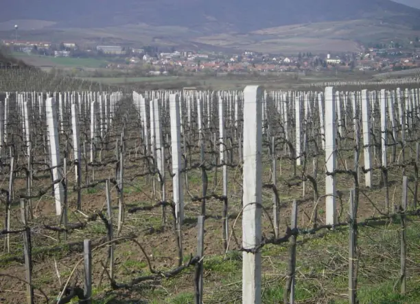 Szőlőoszlop, betonoszlop, drótfonat, drótháló, vadháló kerítés a gyártótól!