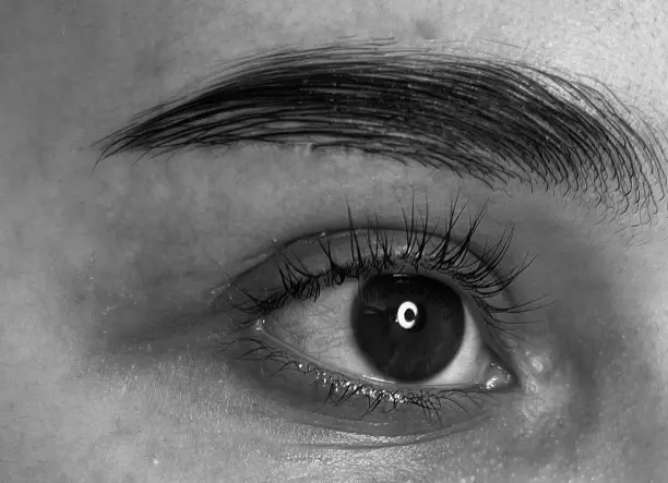 Teljes Szemöldök Formázás - Szemöldök laminálás festéssel