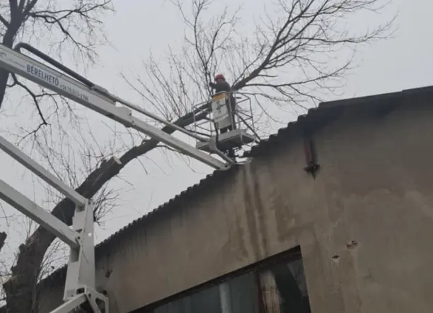 Veszélyes rossz helyen lévő fák kivágása