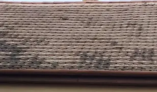 Bontott hódfalú cserepet szeretnék meghirdetni, 2026 Februári vevői bontással!