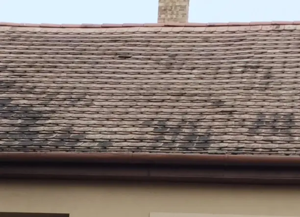 Bontott hódfalú cserepet szeretnék meghirdetni, 2026 Februári vevői bontással!