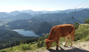 5 napos kirándulás Ausztria zöld szívében, busszal, félpanzióval, 3*-os szállással, idegenvezetéssel