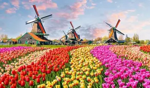 7 napos körutazás Hollandiában, a tulipánok országában, buszos utazással, reggelivel, 3-4*-os szállásokkal, idegenvezetéssel