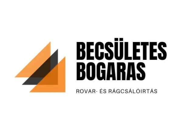 Hatékony kártevőirtás mindenhol – saját prémium módszerrel!